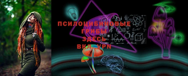 стаф Михайловск