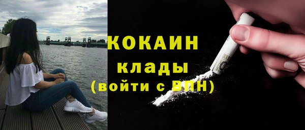 хмурый Михайлов