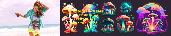 метадон Медвежьегорск